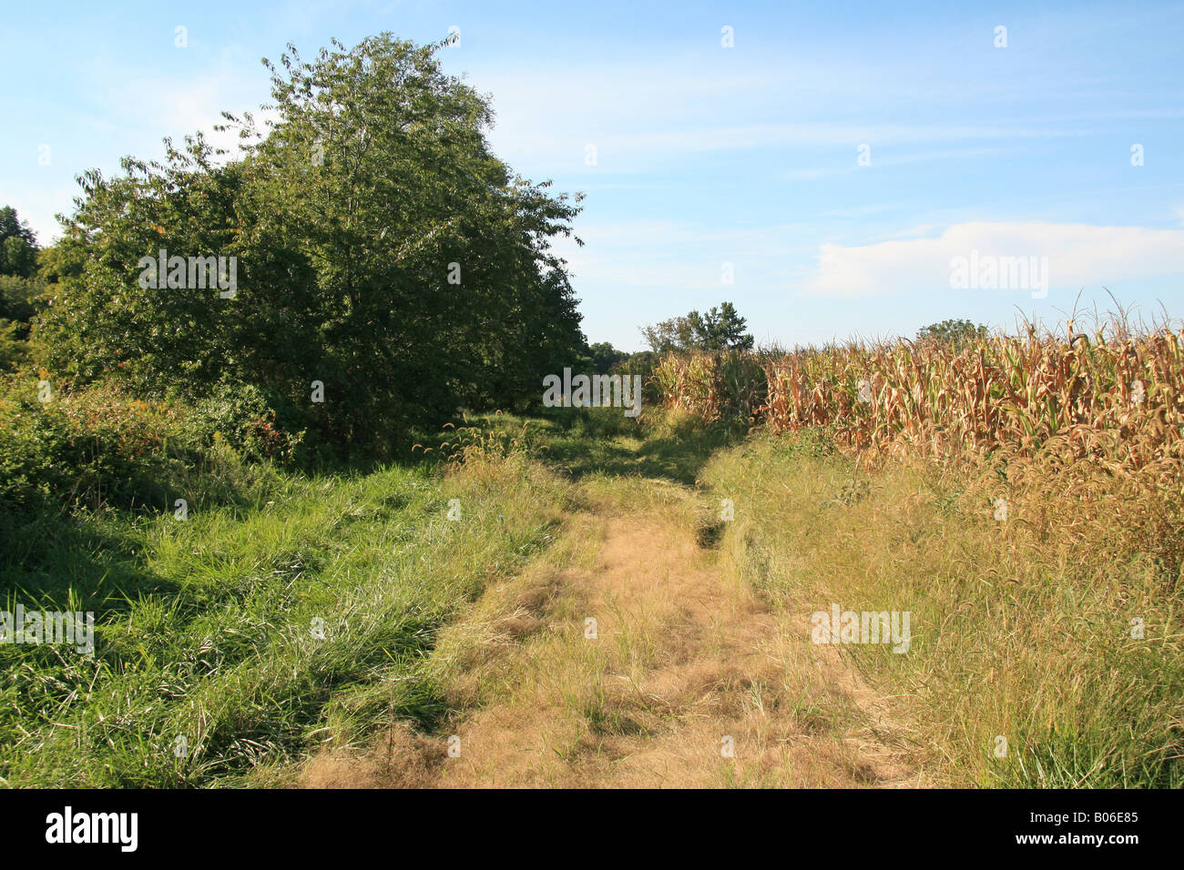 Gasse, Chewning Bauernhaus, ein wesentlicher Punkt in der Schlacht der Wildnis im Jahre 1864. Stockfoto