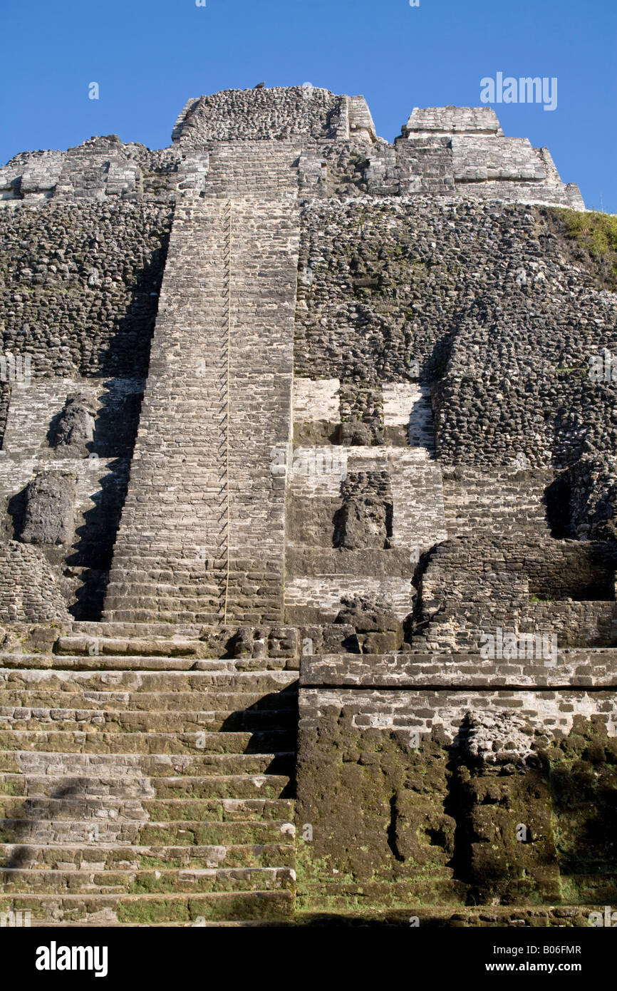 Belize, Lamanai, hoher Tempel (Struktur N10-43) der höchste Tempel in Lamanai bei 125ft Stockfoto