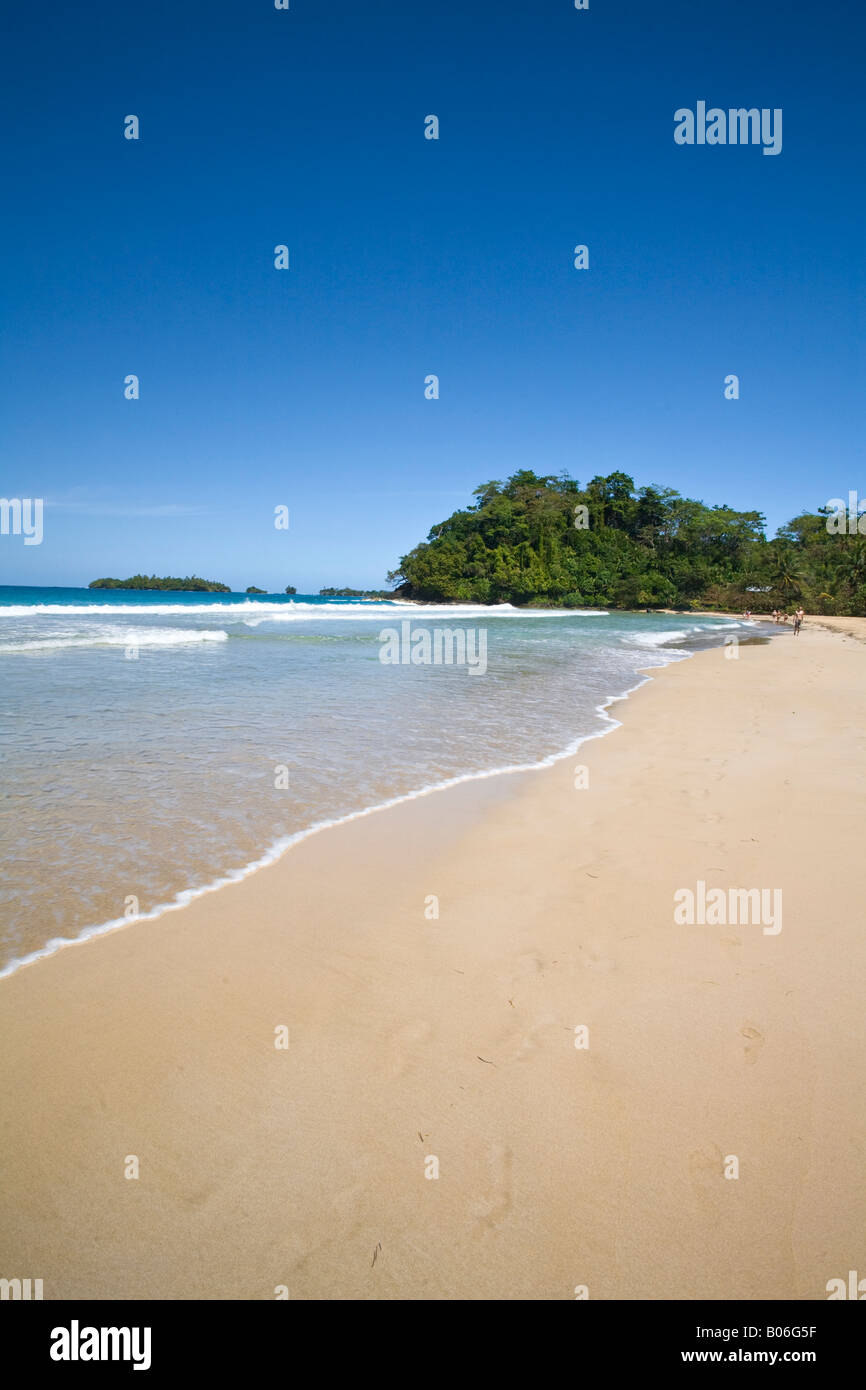 Provinz Bocas del Toro, Panama, Bastimentos Insel (Isla Bastimentos) Red Frog Beach Stockfoto