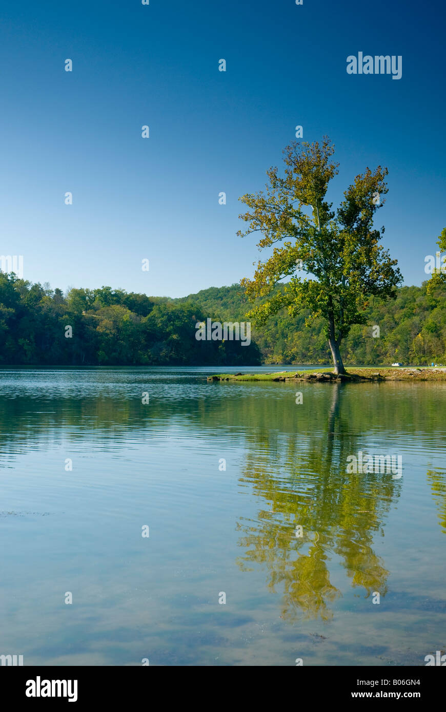 Lake Taneycomo, Ozarks, Missouri, USA in der Nähe von Ozark Strand Damm Stockfoto