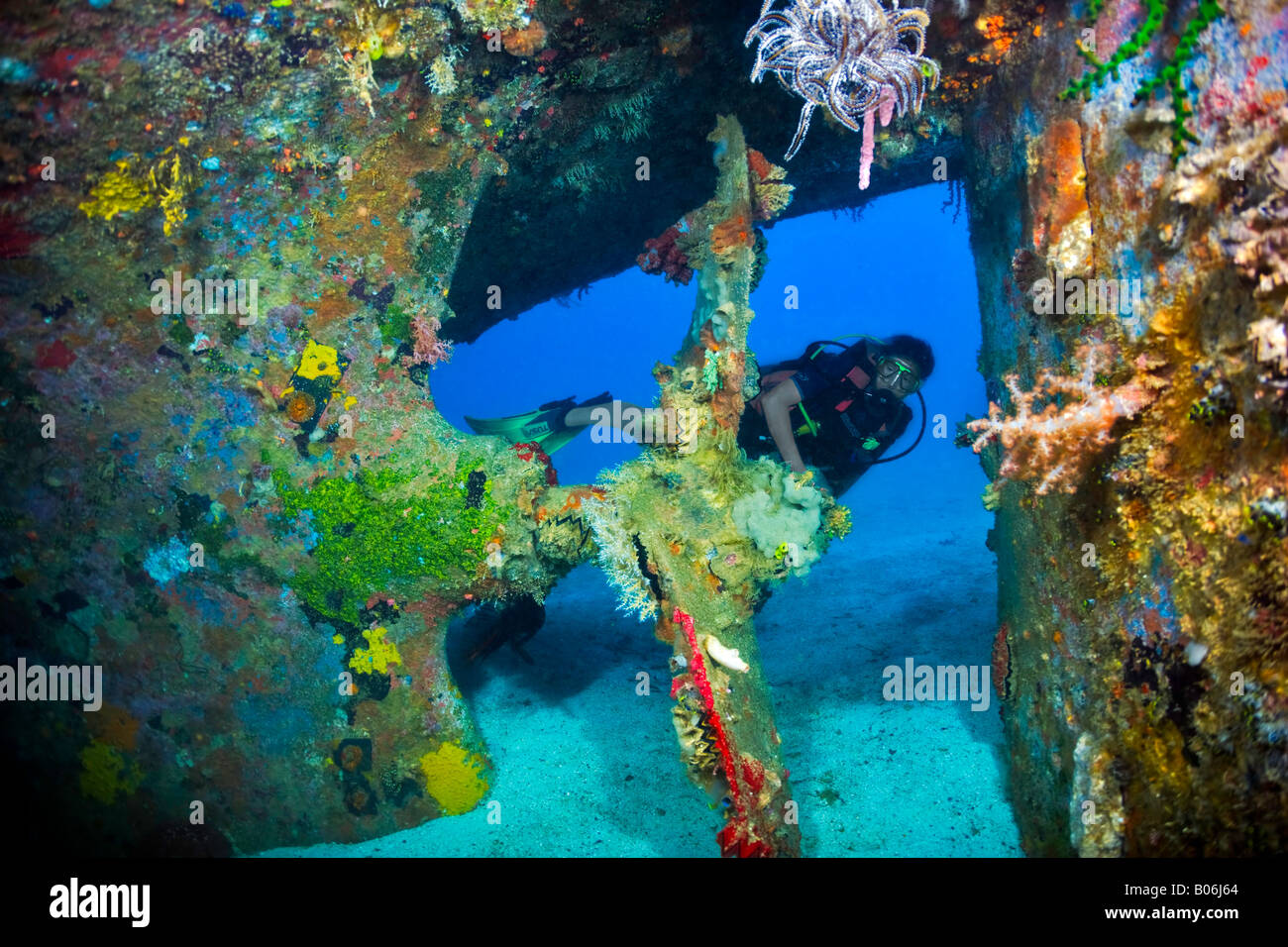 Eine Taucher untersucht die Propeller des Schiffbruchs Mbike liegt in der Nähe von The Florida Inseln, Teil der Salomonen Stockfoto