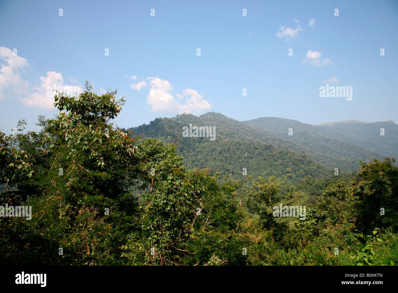Der Nilgiri Hills Stockfoto