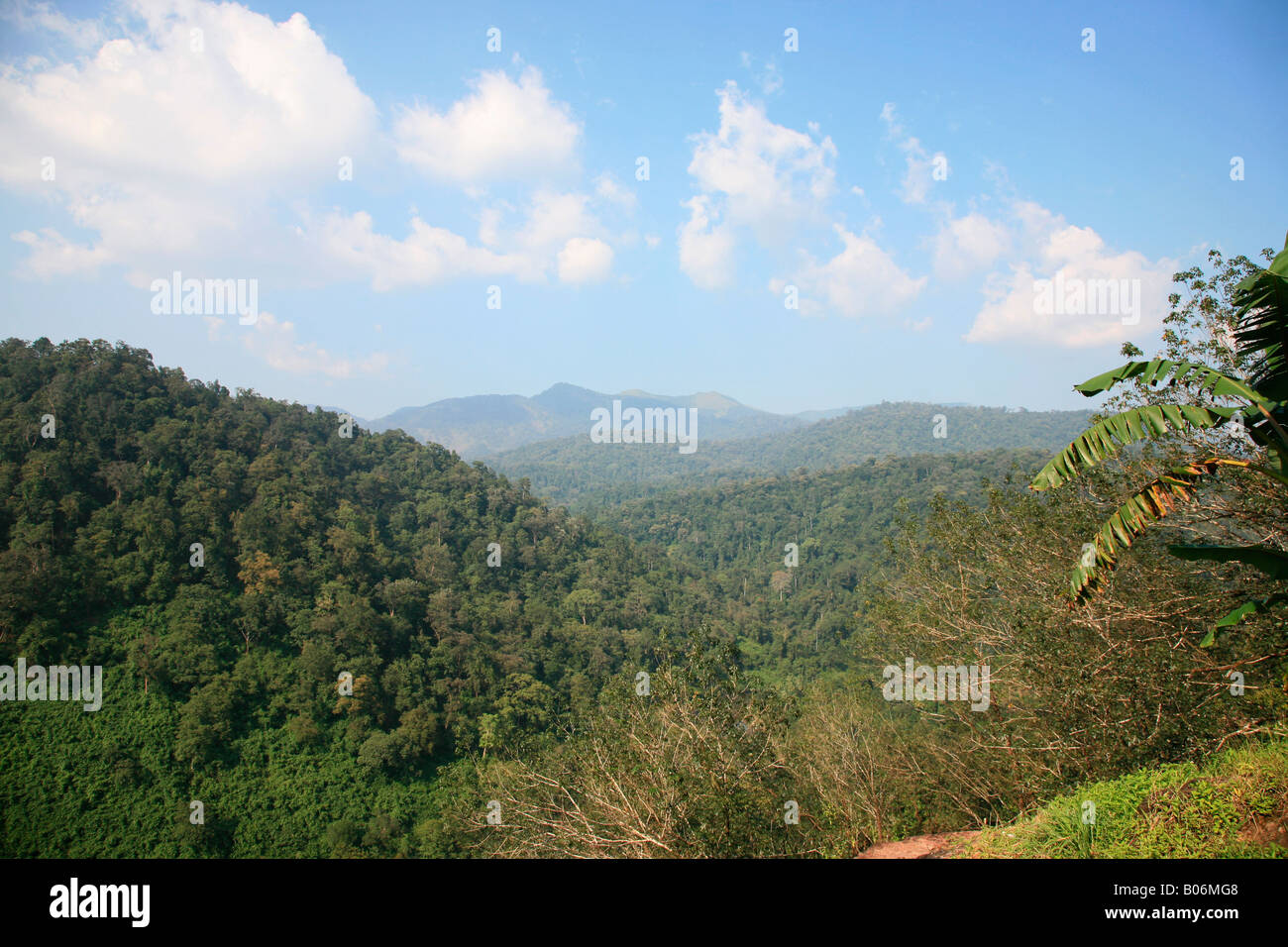 Der Nilgiri Hills Stockfoto