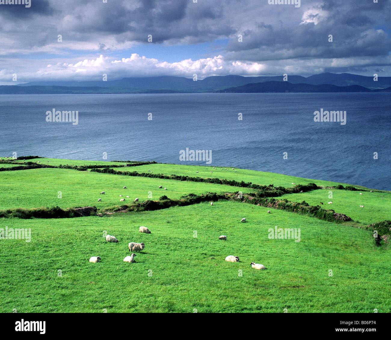 IE - CO. KERRY: Küstenlinie von Ring of Kerry Stockfoto