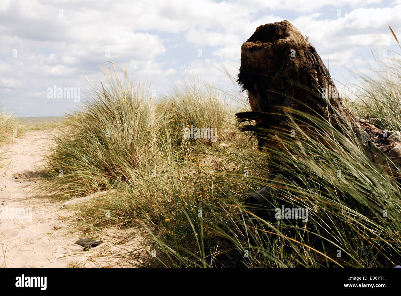 Scorby Sand und Windparks Stockfoto