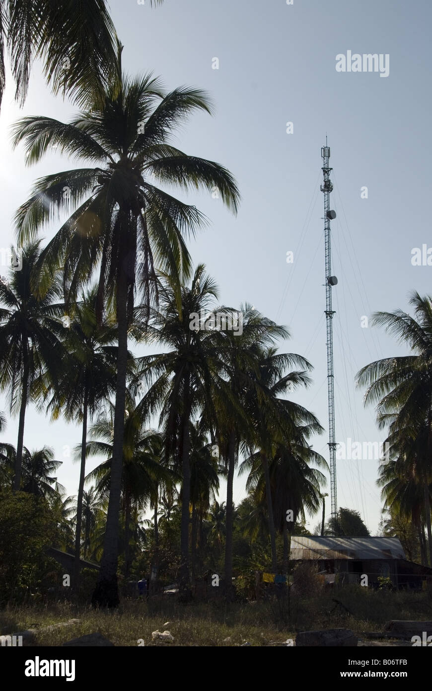 Fernmeldeturm unter Kokospalmen auf einer tropischen Insel Stockfoto