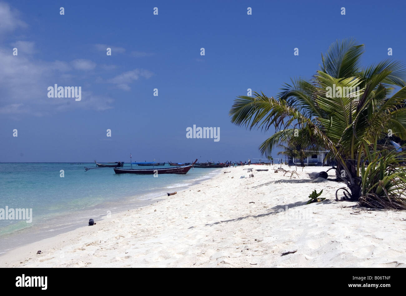 Palmen an einem tropischen weißen Sandstrand mit Longtail-Booten im Hintergrund Stockfoto