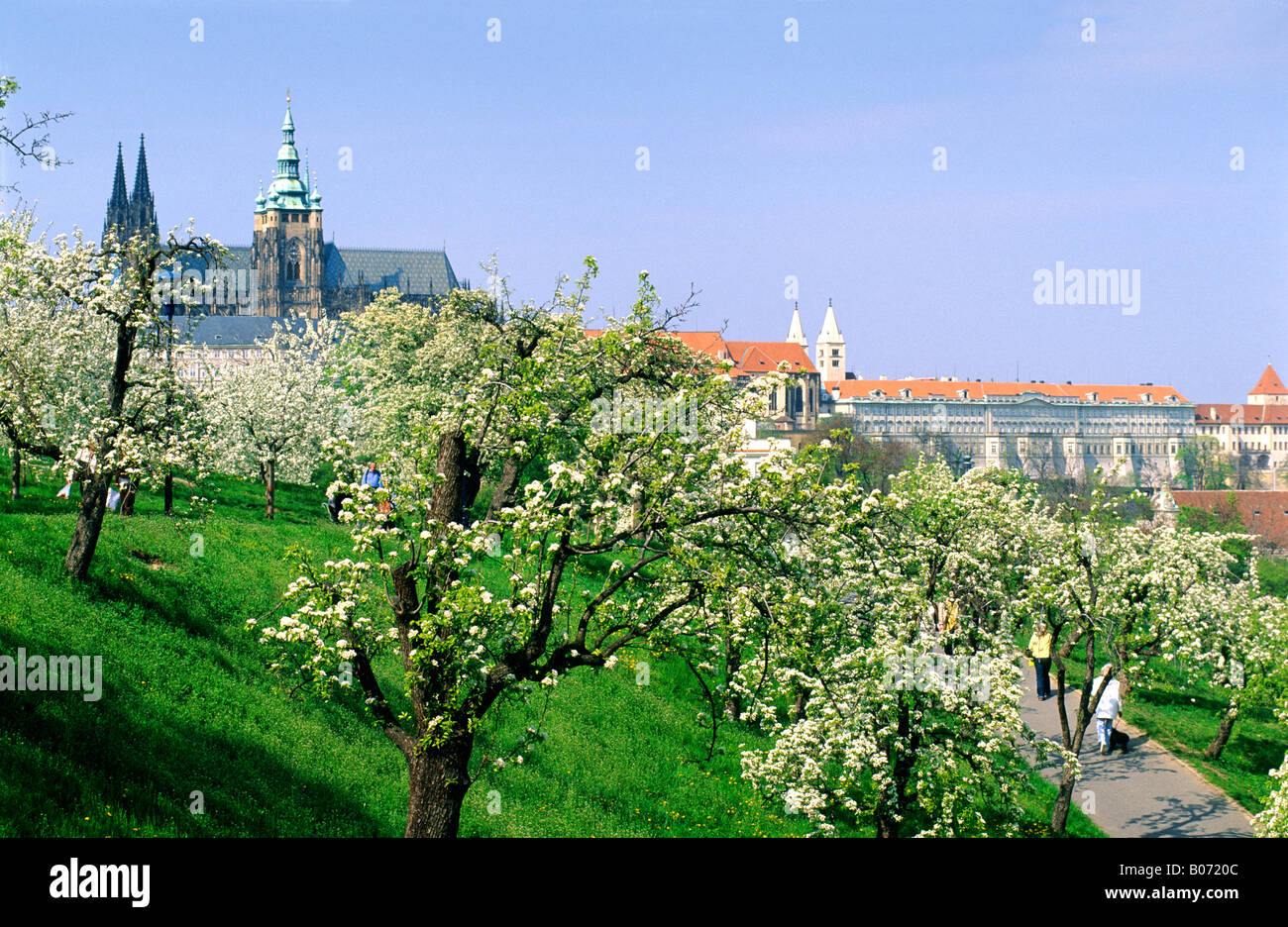 TSCHECHISCHE REPUBLIK-PRAG-HRADSCHIN BURG IM FRÜHJAHR Stockfoto