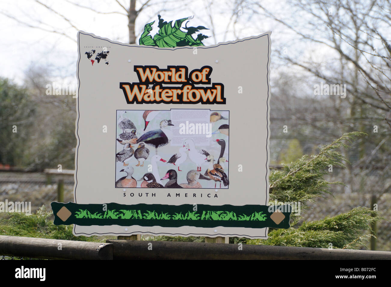 Blackbrook Zoologischer Park Stockfoto