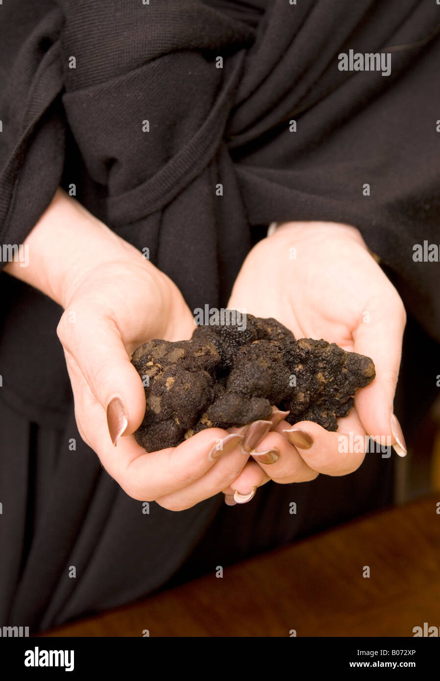 Nahaufnahme des kaukasischen Händen mit Black Diamond französische Trüffel USA Stockfoto