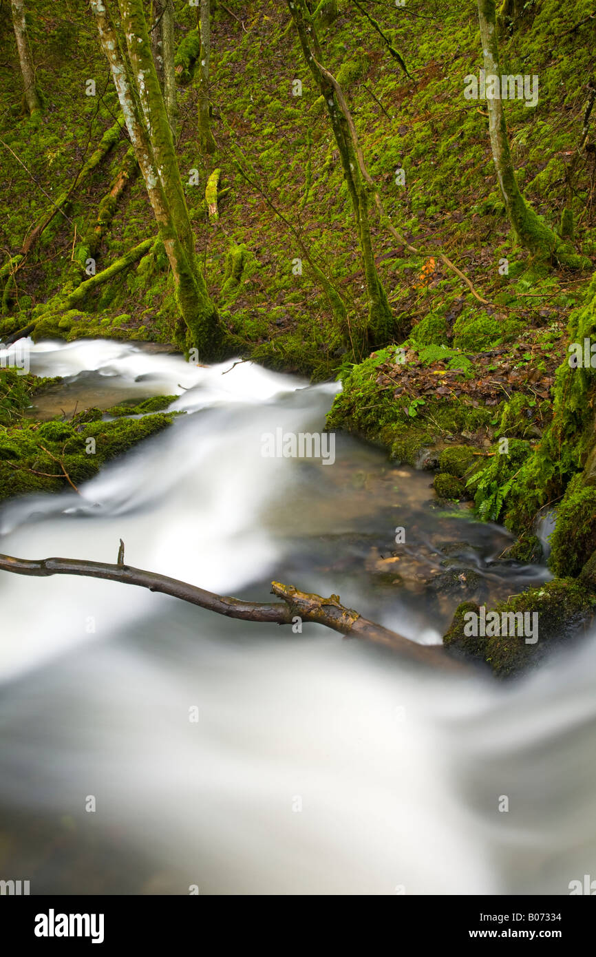 Schottland schottischen Grenzen schnell fließender Strom, kurz bevor er Borthwick Wasser in der Nähe von Roberton mündet Stockfoto