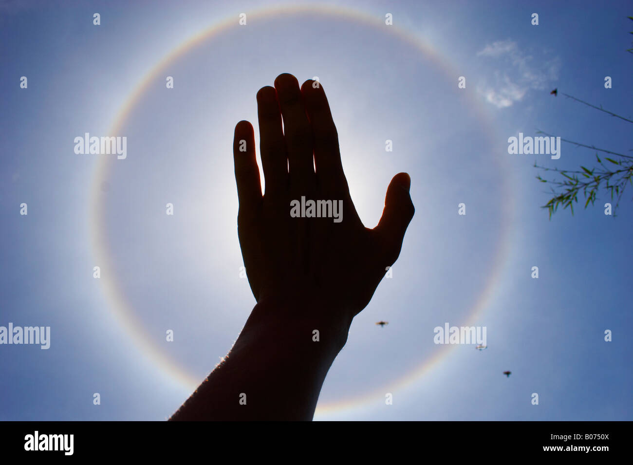 Sonne Halo Optik Hand vor Stockfoto