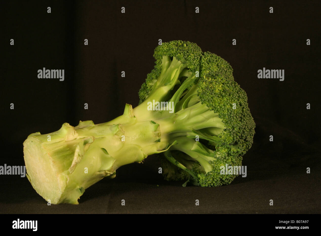 Brokkoli-Gemüse vor schwarzem Hintergrund Stockfoto