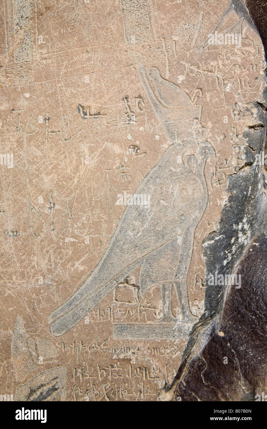 Inschrift des Horus Vogel im Wadi Hammamat, Östliche Wüste, Ägypten, Nordafrika Stockfoto