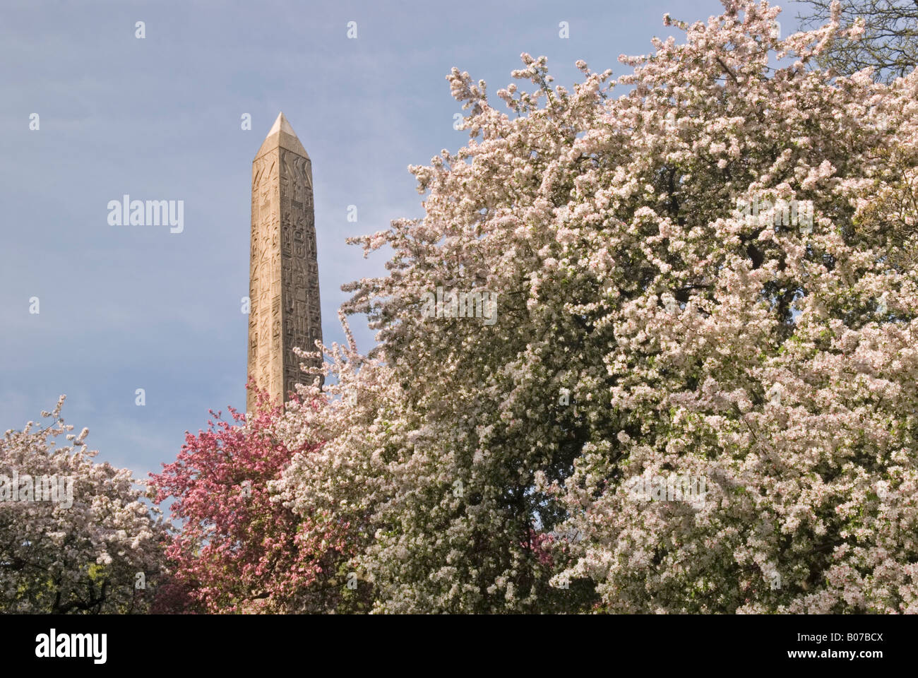 Kleopatras Nadel in Central Park, New York, umgeben von blühenden Bäumen im Frühjahr Stockfoto