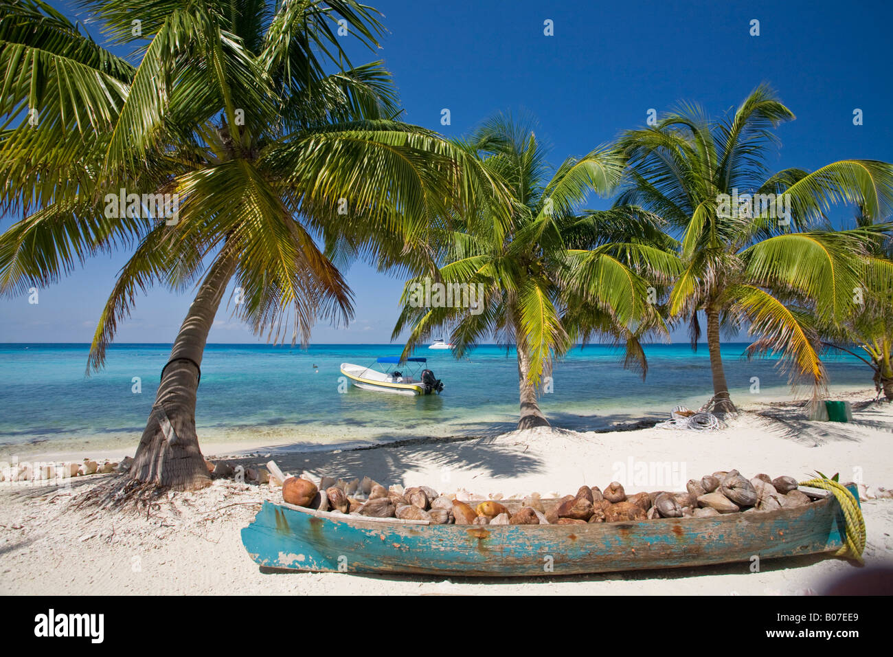 Belize, Laughing Bird Caye, Kanu, gefüllt mit Kokosnuss-Schalen Stockfoto