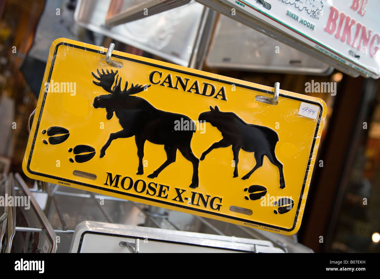 Souvenir-Shop, Downtown Calgary, Alberta, Kanada Stockfoto