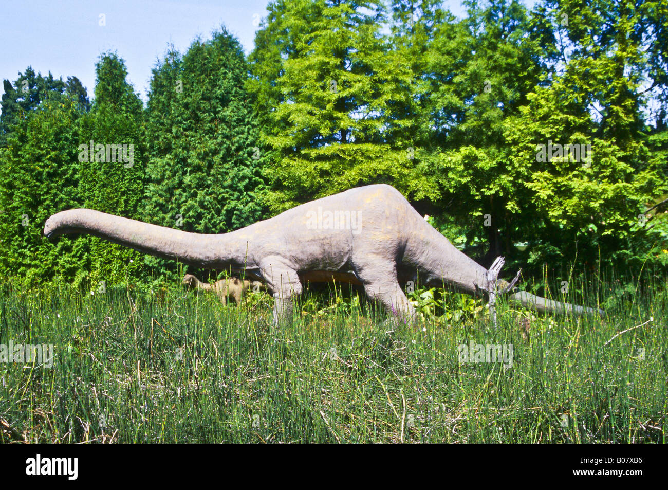Dinosaurier im Arboretum Ellerhoop Stockfoto