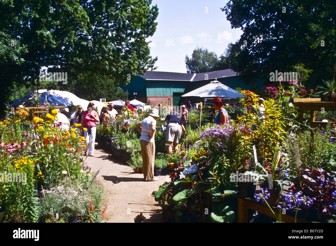 Blumenmarkt vor Arboretum Ellerhoop Stockfoto