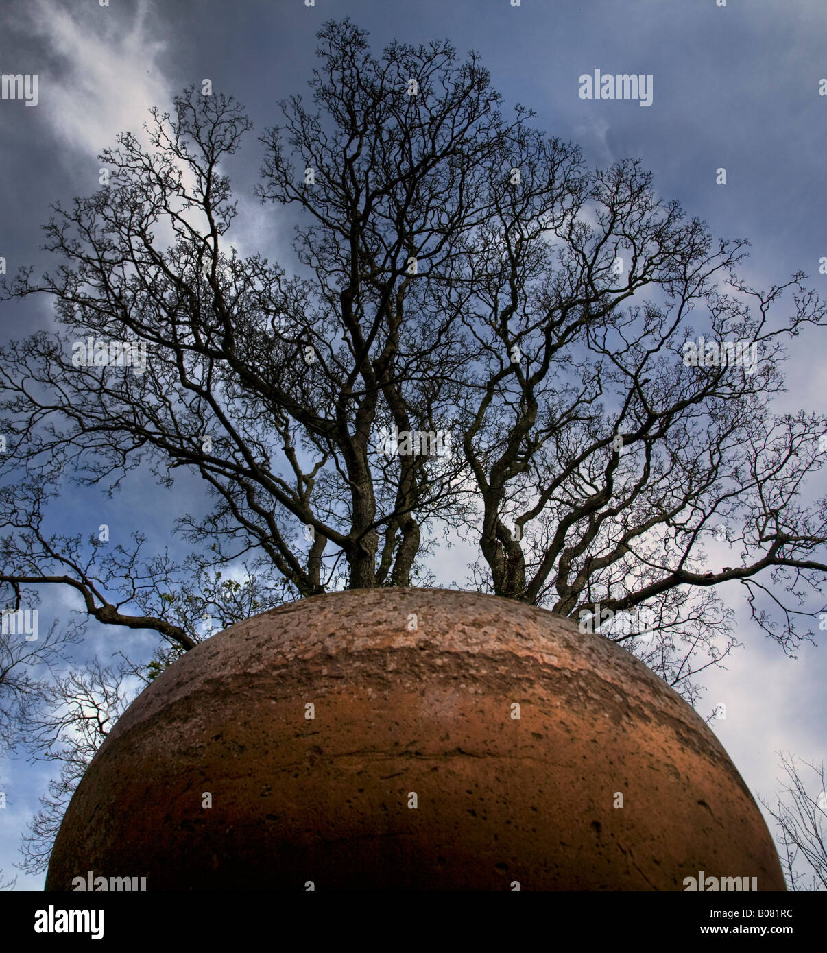 Großer Baum scheinbar aus Ton Keramik Urne optische Illusion oder das Hobby der Riesen Stockfoto