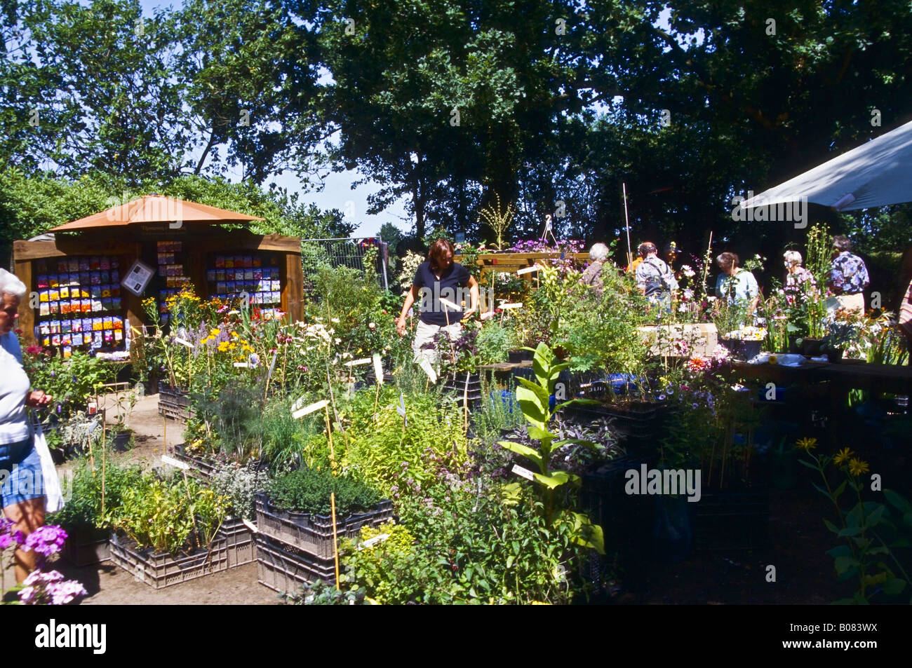 Blumenmarkt vor dem Arboretum Ellerhoop Stockfoto