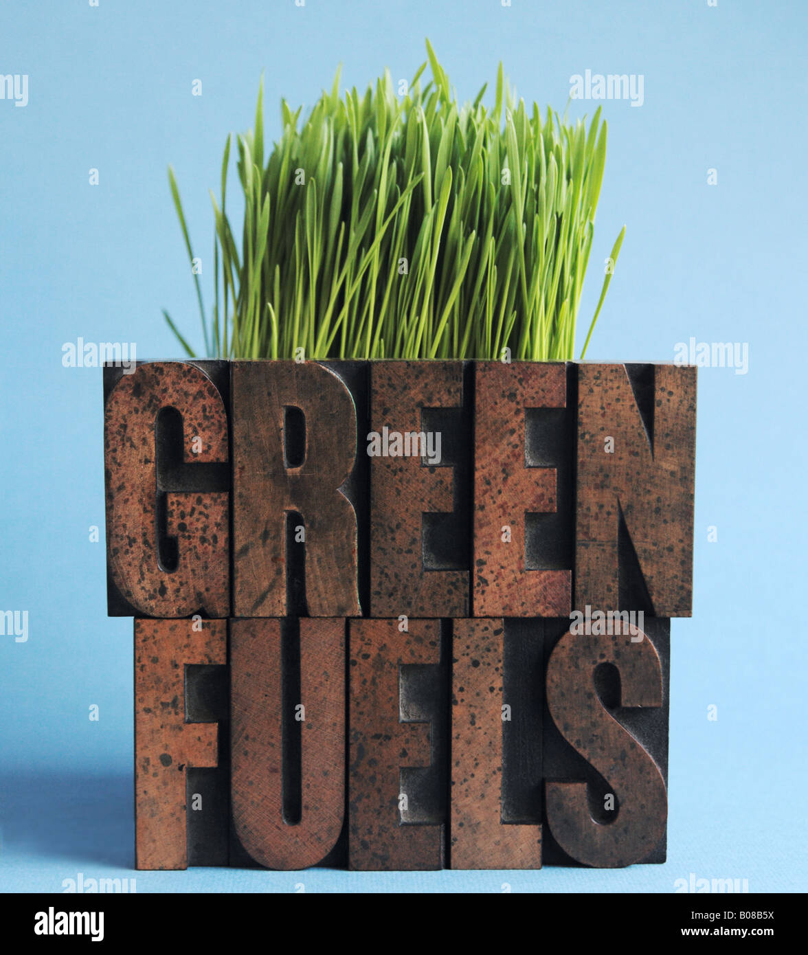die Worte "Grüne Kraftstoffe" vor Weizengras Stockfoto