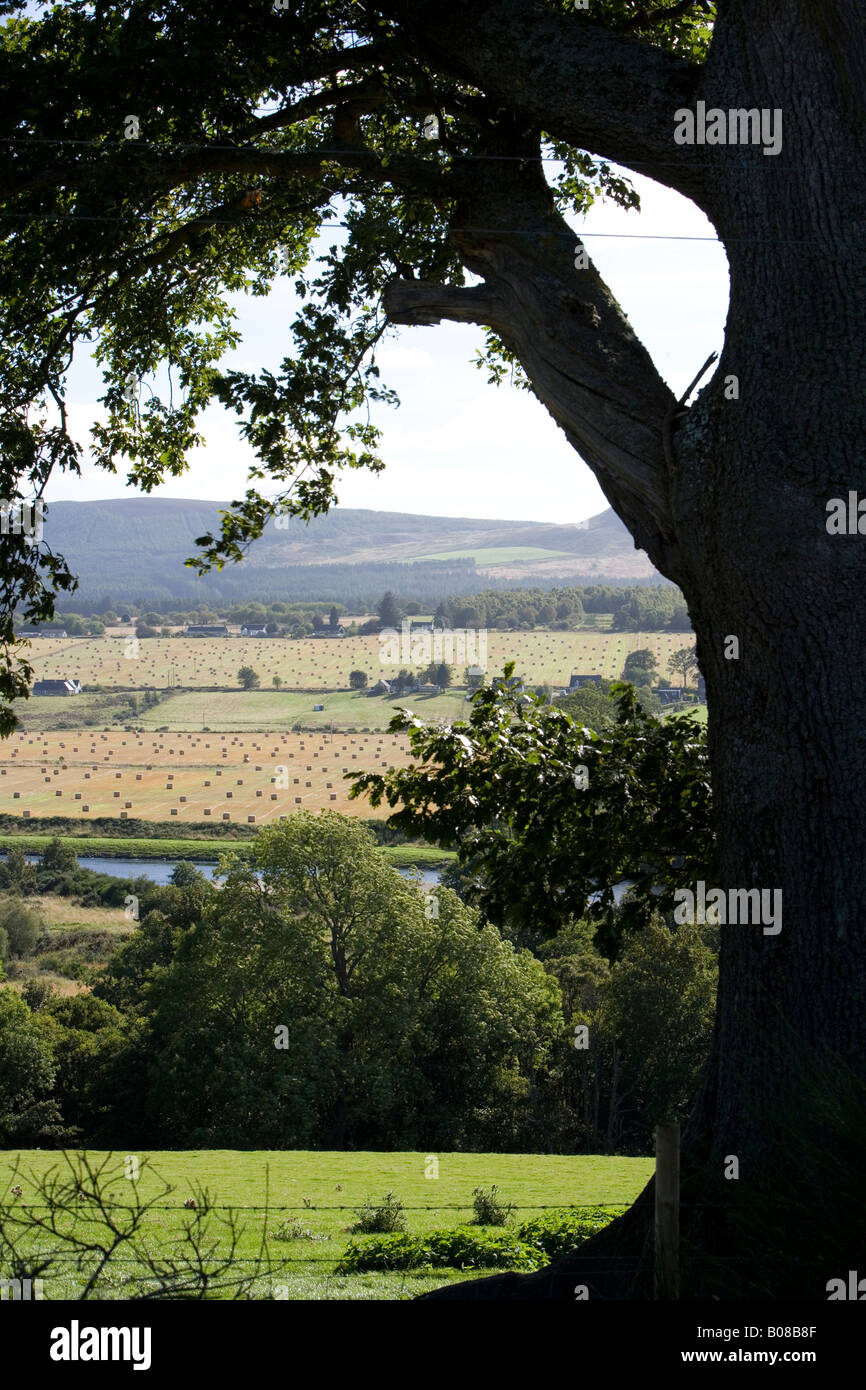 Ernte-Szene in der Nähe von Muir of Ord, Inverness-Shire, Schottland, UK Stockfoto