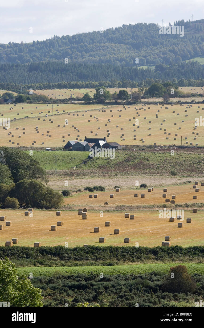 Ernte-Szene in der Nähe von Muir of Ord, Inverness-Shire, Schottland, UK Stockfoto