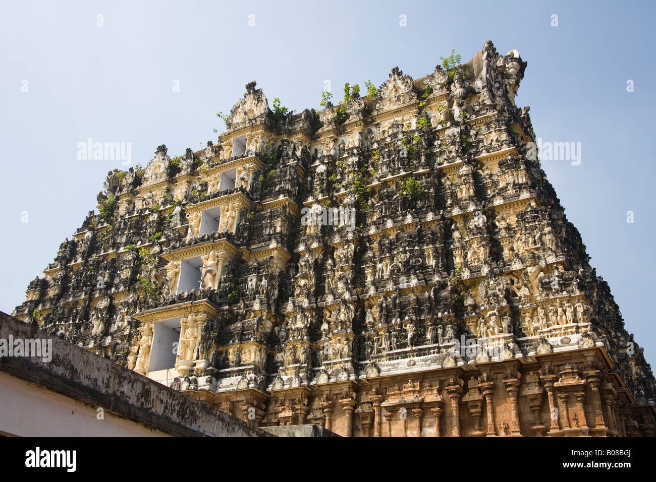 Ein Gopuram, Sree Padmanabhaswamy Tempel, Trivandrum, Kerala, Indien Stockfoto