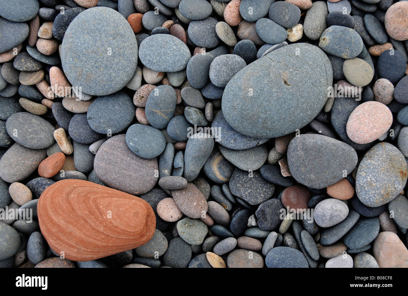 Kieselsteine am Strand in St Bees. Stockfoto