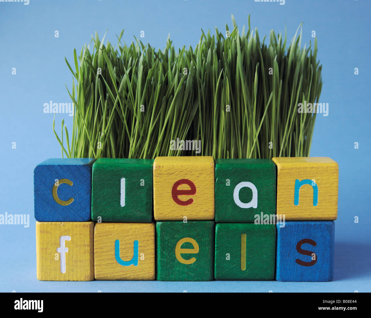 die Worte "saubere Kraftstoffe" in Druckbuchstaben vor Weizengras Stockfoto