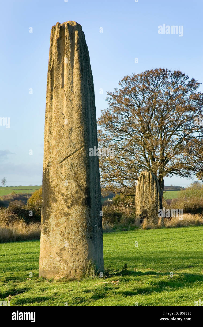 Teufel-Pfeile - Monolithen bei boroughbridge Stockfoto