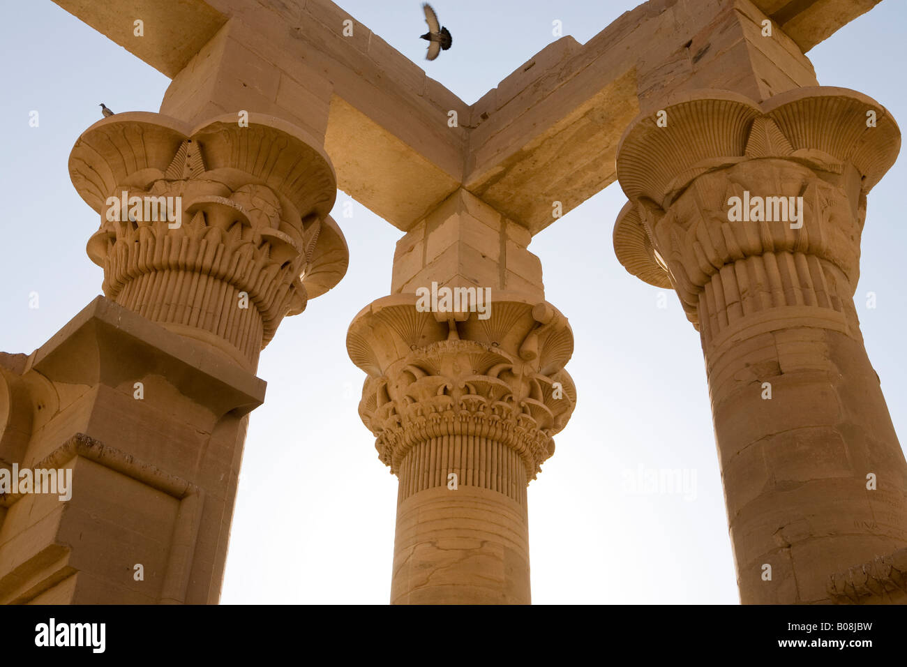 Blick himmelwärts Hauptstadt Köpfe in Trajans Kiosk am Tempel von Philae, Insel von Isis, Agiliki, Assuan, Ägypten Stockfoto