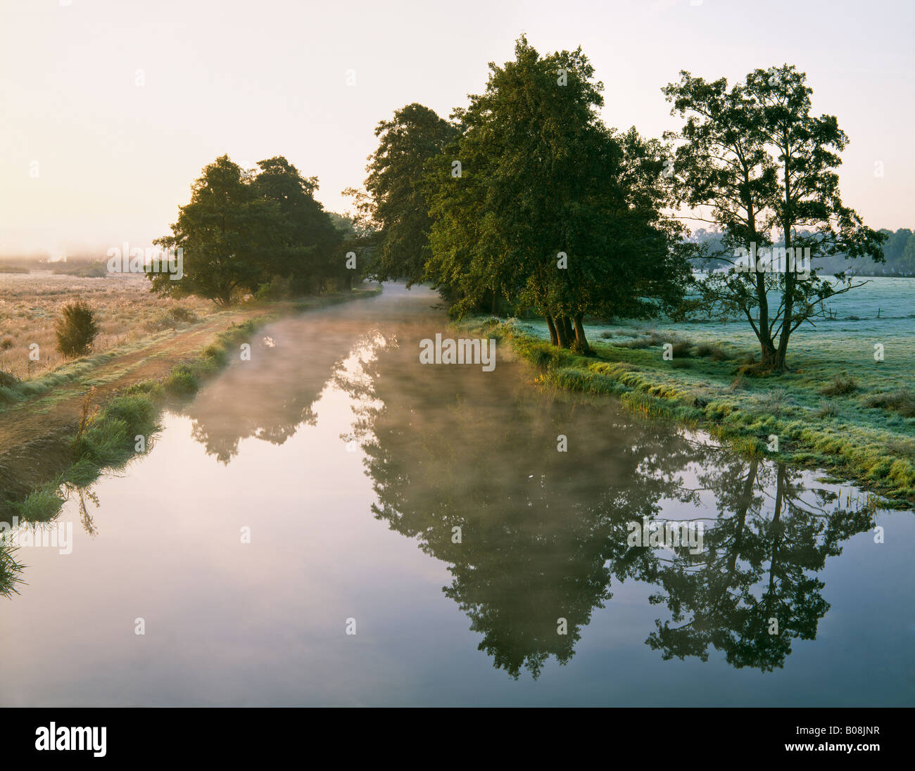 Fluss Wey Navigation auf senden in der Nähe von Guildford, Surrey, UK. Misty Herbst Dawn. Stockfoto