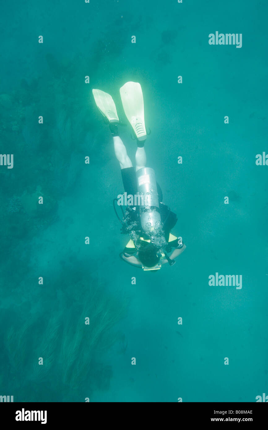 Taucher Tauchen Stockfoto