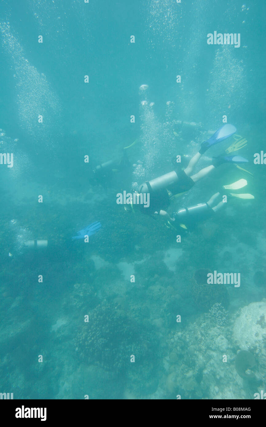 Taucher Tauchen Stockfoto