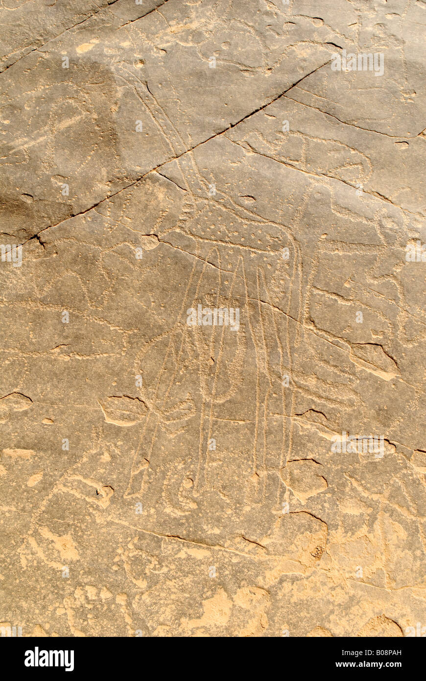 Prähistorische Felszeichnungen, Giraffe, La Dalle, Tin Tarabine, Tassili du Hoggar, Wilaya Tamanrasset, Algerien, Nordafrika Stockfoto