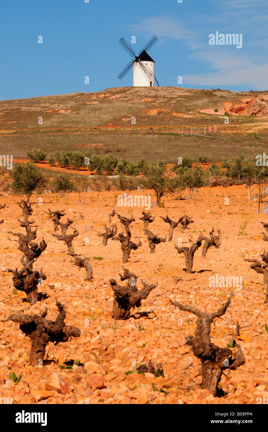 Windmühle auf dem Cerro de San Antón in der Nähe von Alcázar de San Juan, Region Kastilien-La Mancha, Spanien Stockfoto