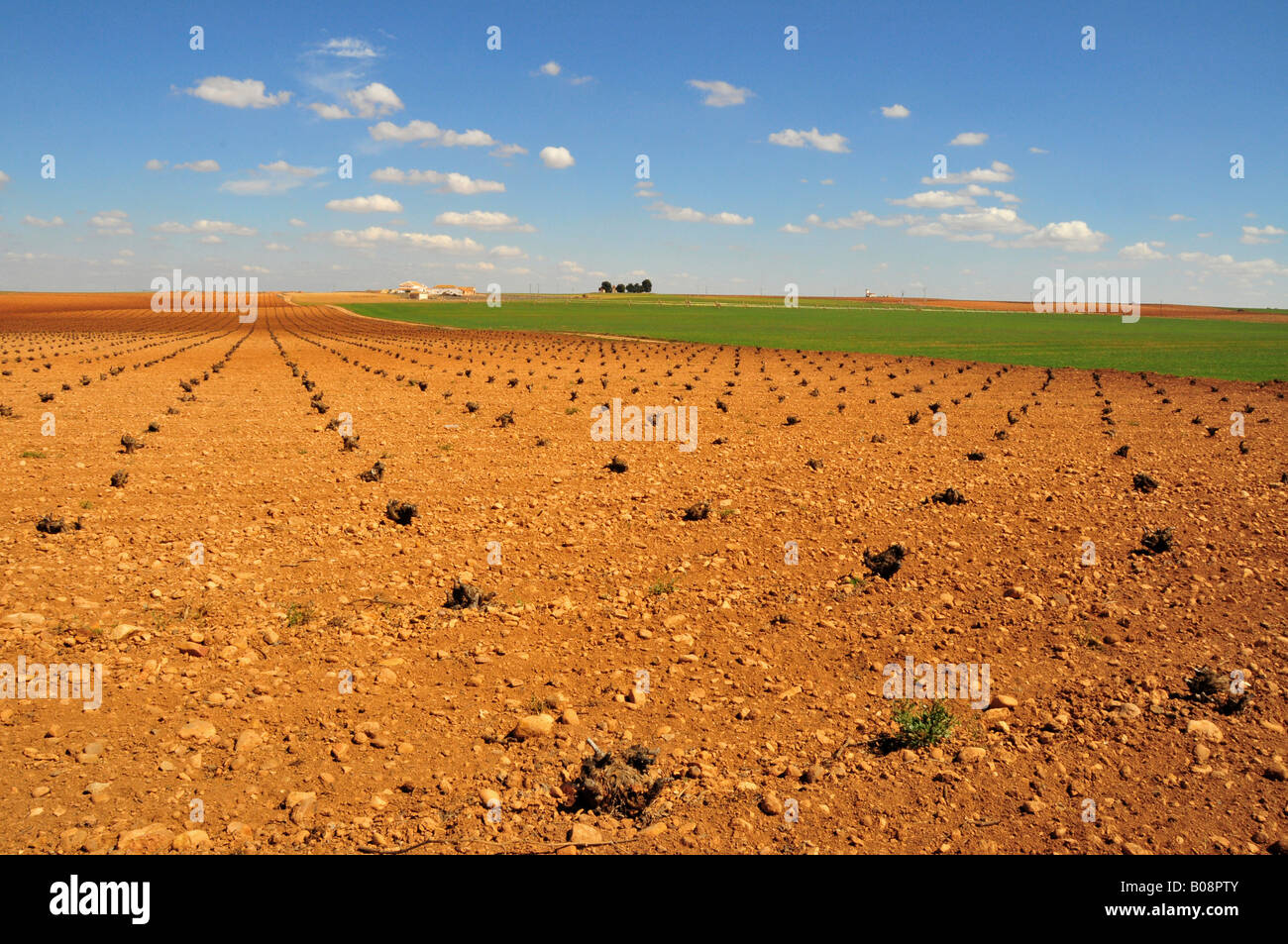 Trockenen Agrarlandschaft in der Nähe von Tomelloso, Provinz Ciudad Real, Spanien Stockfoto