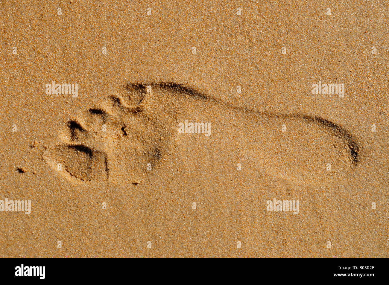Fußabdruck im Sand, rechten Fuß am Strand von Benidorm, Costa Blanca, Spanien Stockfoto