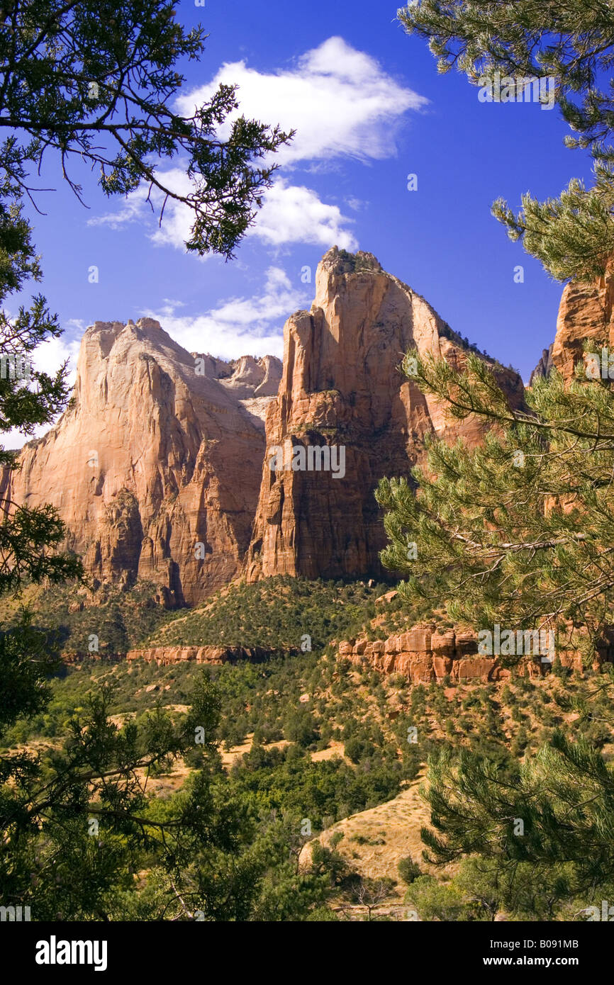 Gericht der Patriarchen, Bergkette der Zion National Park, USA, Zion NP Stockfoto