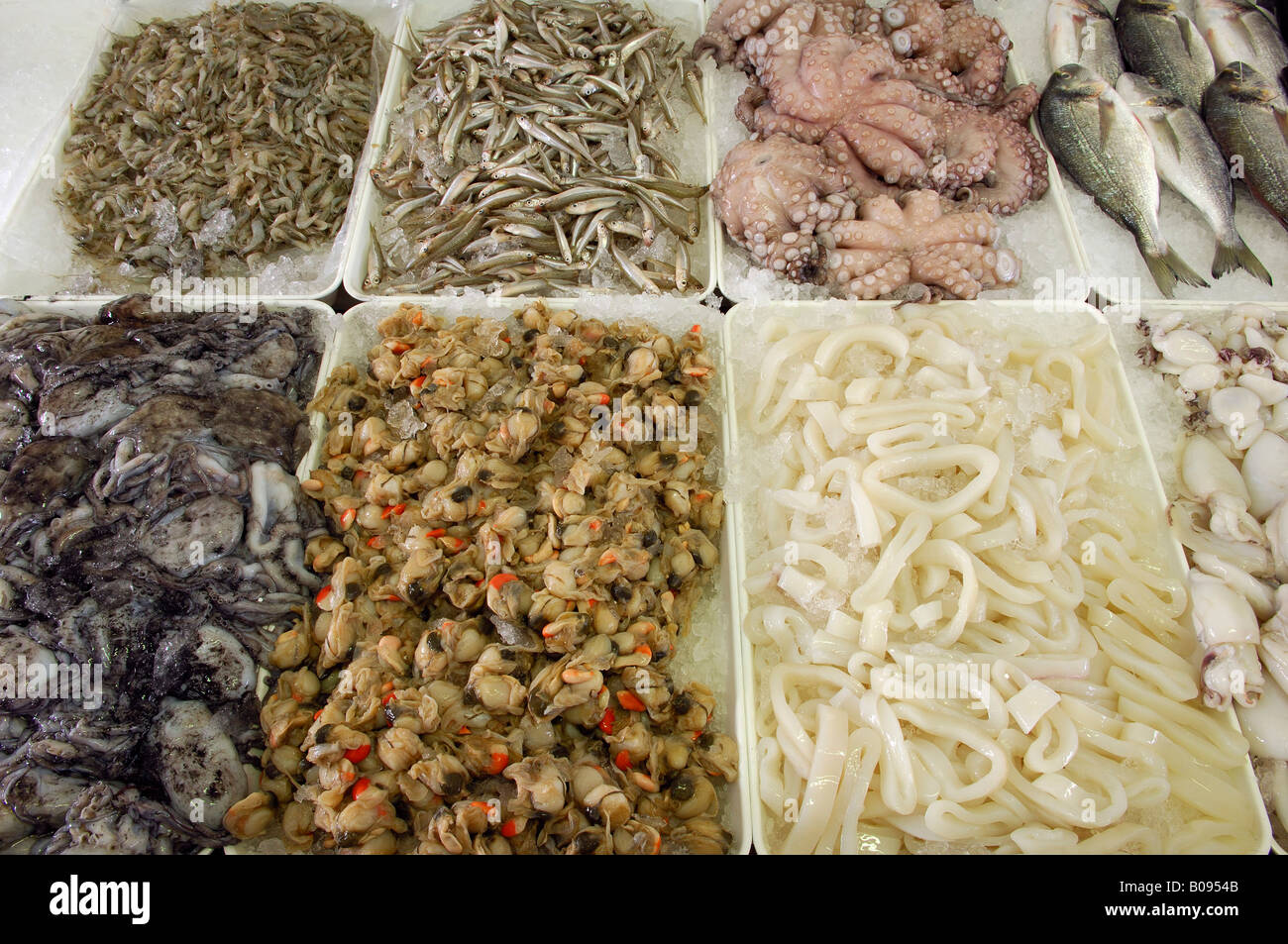 Frischer Fisch in einer Kühltheke, Caorle, Venezia, Veneto, Italien Stockfoto
