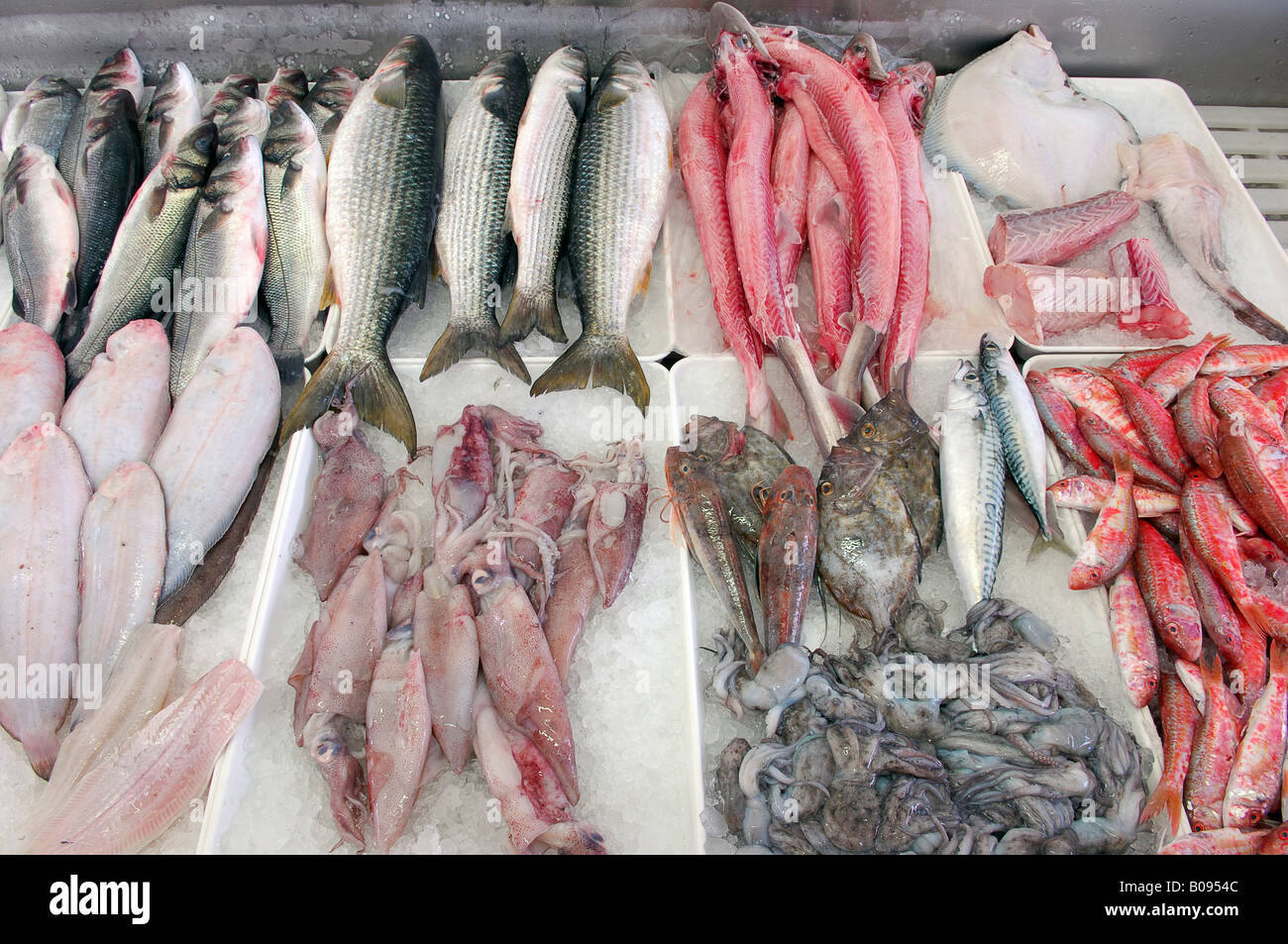 Frischer Fisch in einer Kühltheke, Caorle, Venezia, Veneto, Italien Stockfoto