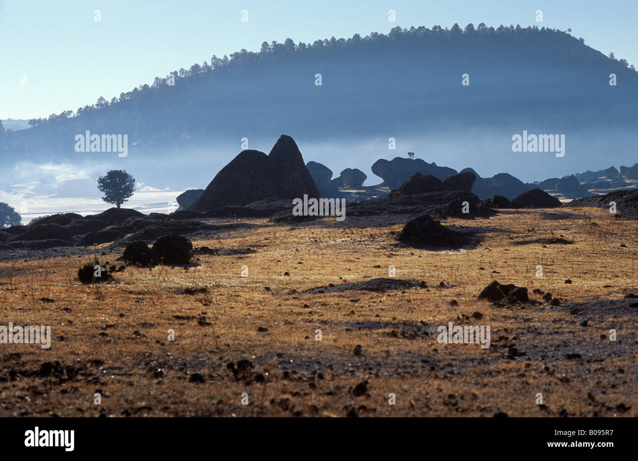 "Tal der Pilze" in der Nähe von Creel, Sierra Tarahumara, Sierra Madre Occidental, Chihuahua, Mexiko Stockfoto