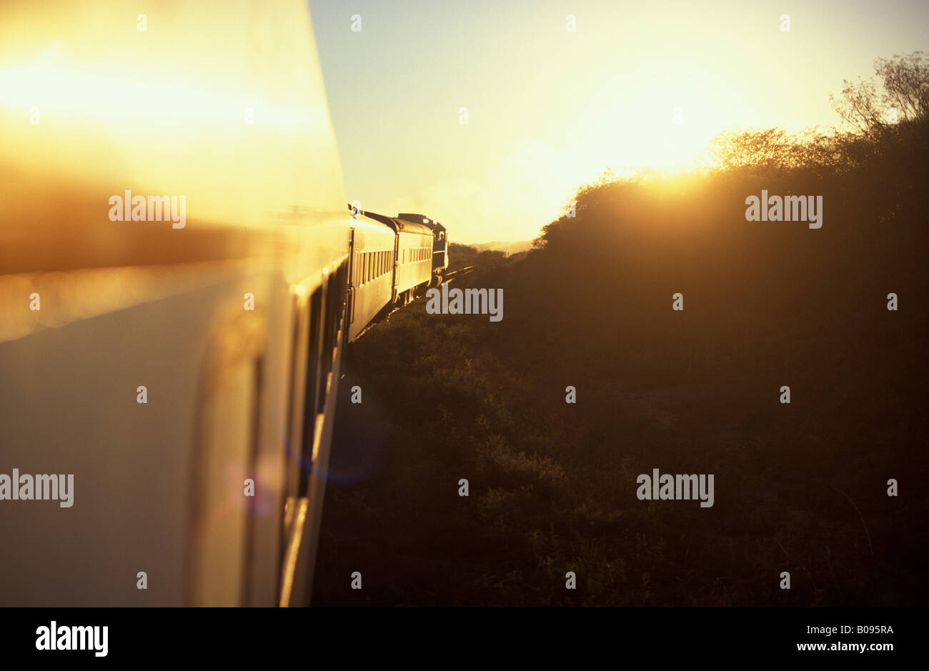 Blick vom Kupfer Canyon Zug Barranca del Cobre, Sierra Tarahumara, Sierra Madre, Sinaloa, Mexiko Stockfoto