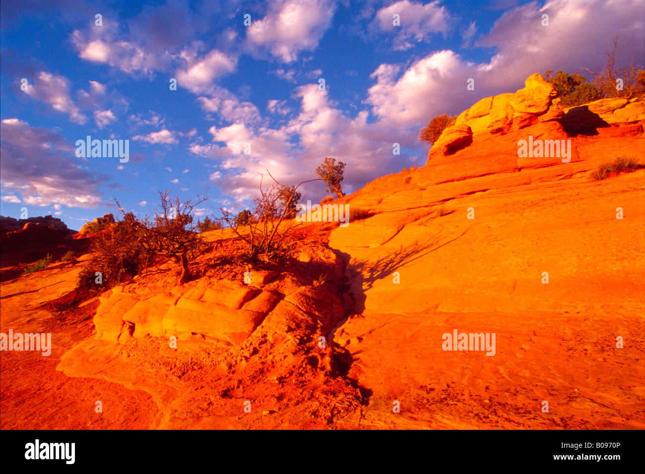 Dinosaur National Monument, Utah, USA Stockfoto