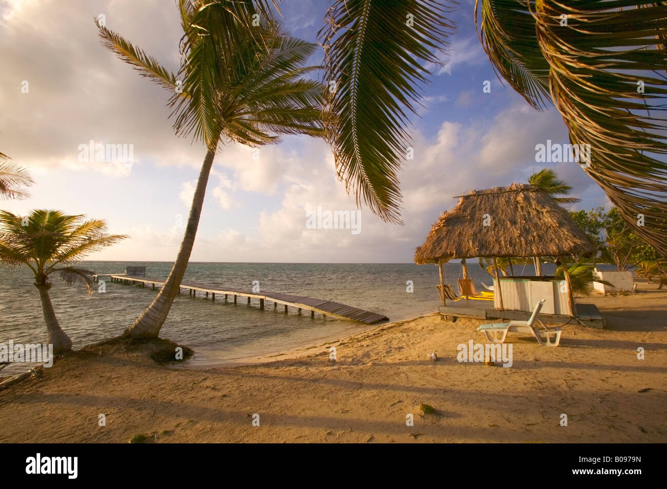 Strand am Blackbird Caye Turneffe Islands Belize auf Belize Barrier Reef die zweitgrößte in der Welt Stockfoto