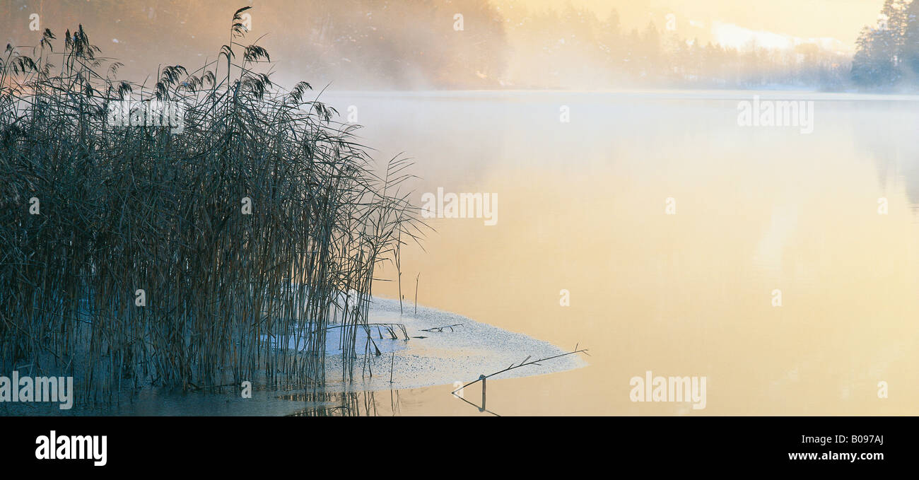 Nebel über Reintaler See, Nord-Tirol, Österreich Stockfoto