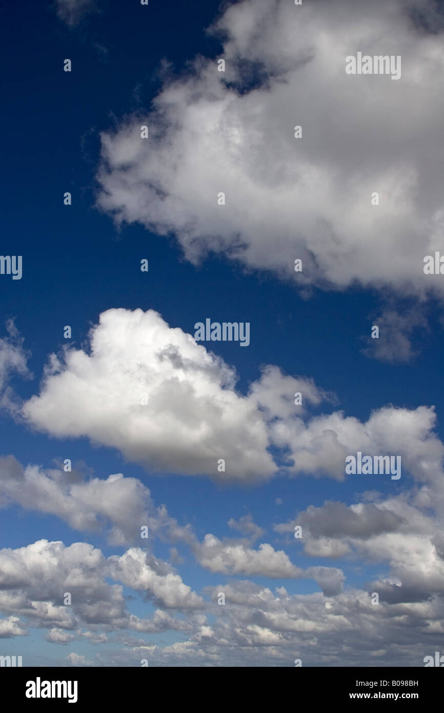 Geschwollene weiße Wolken am blauen Himmel, Dithmarschen, Schleswig-Holstein, Deutschland Stockfoto