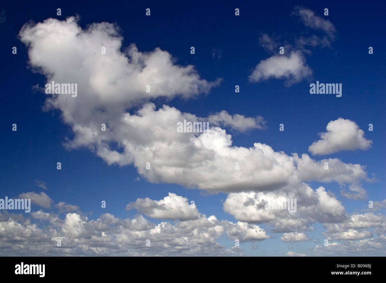 Geschwollene weiße Wolken am blauen Himmel, Dithmarschen, Schleswig-Holstein, Deutschland Stockfoto